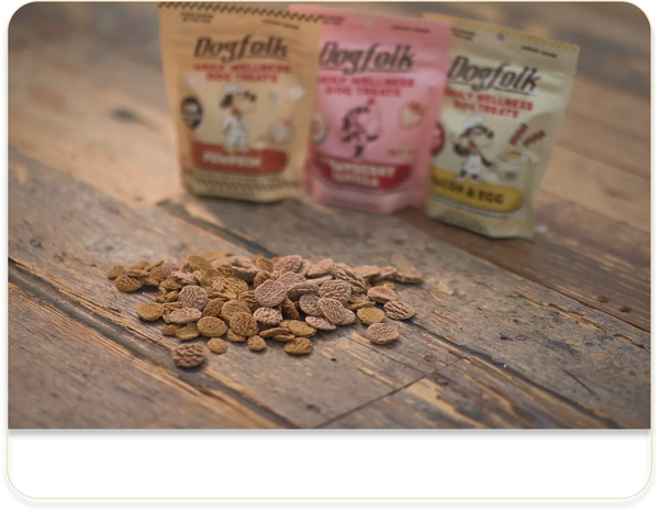 Baked in South Florida