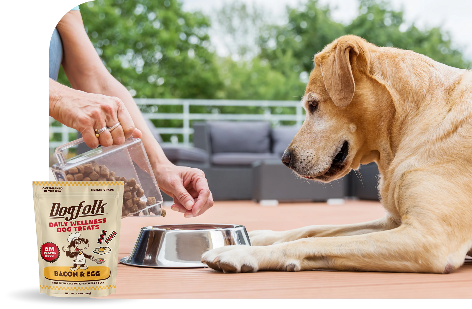Dog treats on display