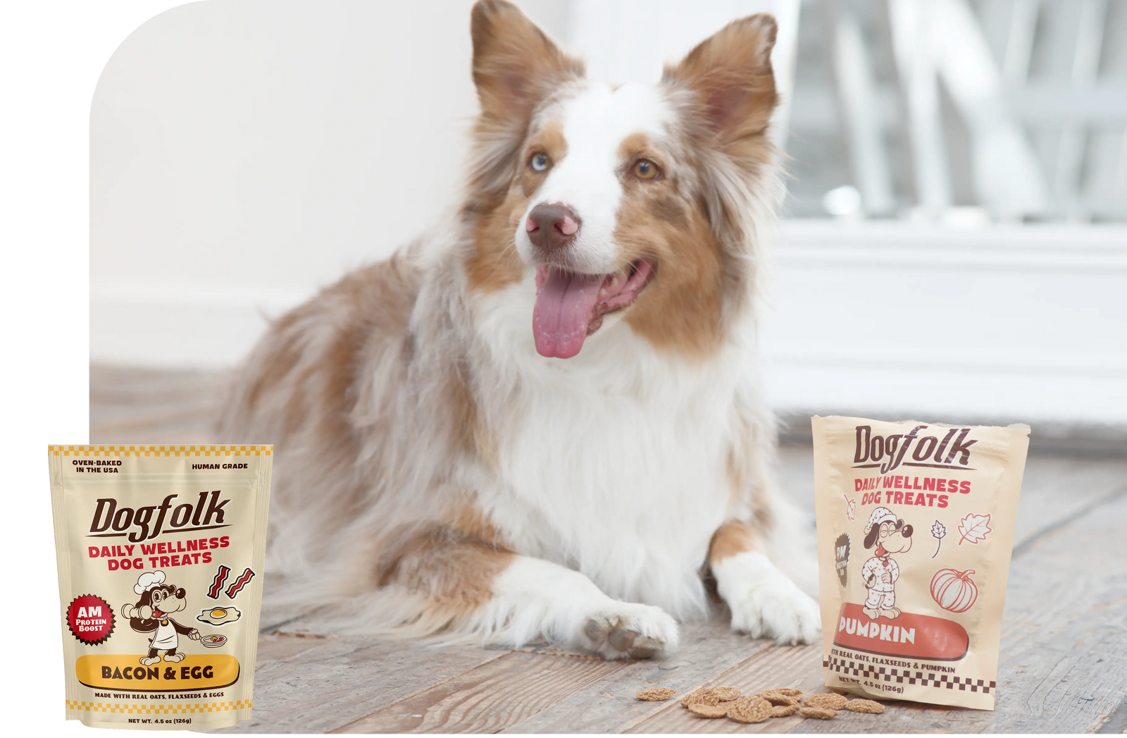 Dog treats on display